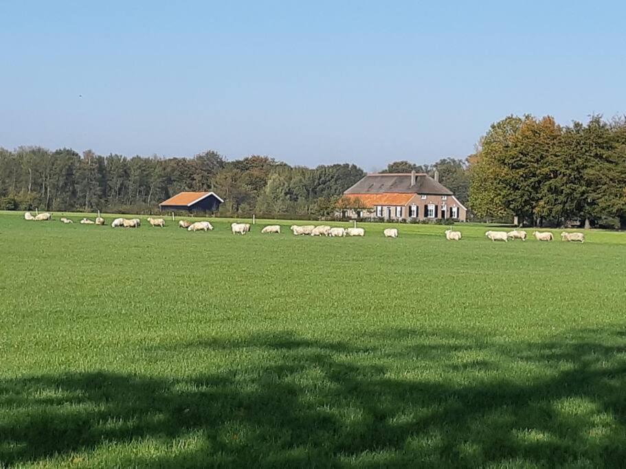 B&B Joostink In Форден Екстериор снимка